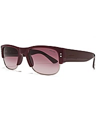 Police Sunglasses