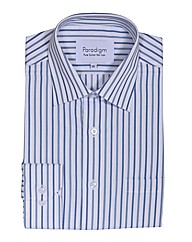 Paradigm Double TWO Stripe Formal Shirt
