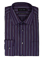 Double TWO Stripe Formal Shirt