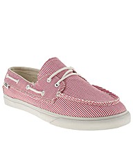 Vans Zapato Lo Pro