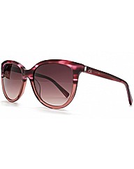 Calvin Klein Sunglasses