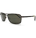 Calvin Klein Sunglasses