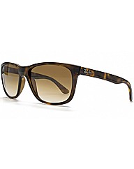 RayBan Sunglasses