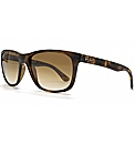 RayBan Sunglasses