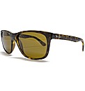 RayBan Sunglasses
