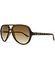 RayBan Sunglasses