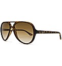 RayBan Sunglasses
