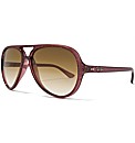 RayBan Sunglasses