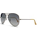 RayBan Sunglasses