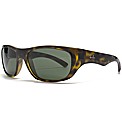 RayBan Sunglasses