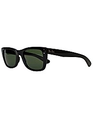 RayBan Sunglasses