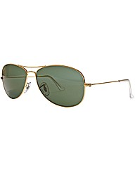 RayBan Sunglasses