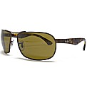RayBan Sunglasses