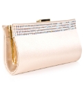 Daniel Crystal Beige Clutch