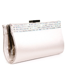 Daniel Crystal Silver Clutch