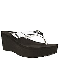 schuh Cosmic Ray