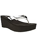 schuh Cosmic Ray