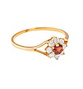 9ct Yellow Gold Diamond and Garnet Ring