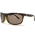 Emporio Armani Wayfarer Sunglasses