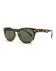 Jacamo Wayfarer Sunglasses