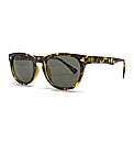 Jacamo Wayfarer Sunglasses