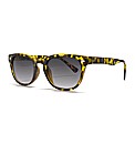 Jacamo Round Sunglasses