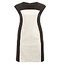 Koko Lace Contrast Scuba Dress
