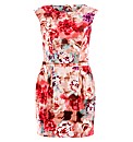 Koko Floral Print Lantern Dress
