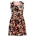 Koko Zip Back Printed Skater Dress