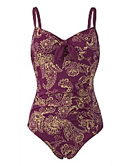 Panache  Swimwear Veronica Swimsuit