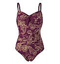 Panache  Swimwear Veronica Swimsuit