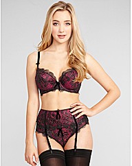 Lily Lace Padded Plunge Bra