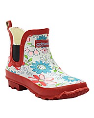 Cotswold ladies meadow dealer boot