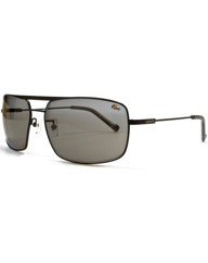 Lacoste Square Aviator Sunglasses