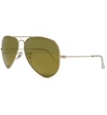 RayBan Aviator Sunglasses