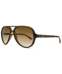 Rayban Cats 5000 Plastic Aviators