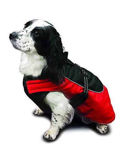 Options All Weather Red Dog Coat 22-24" Options All Weather Red Dog Coat 22-24"