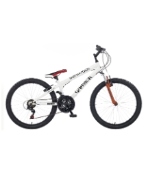 24 inch Elswick Blackcreek Boys Bike