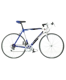 Elswick Equipe Road Bike