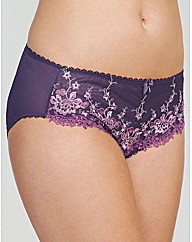 Elegance Brief