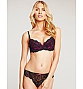 Just Peachy Lace Padded Balconette Bra