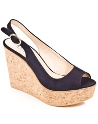 Daniel Zanze Wedge
