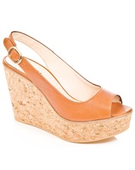 Daniel Zanze Wedge
