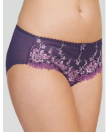 Elegance Brief