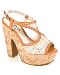 Daniel Cassava Platform