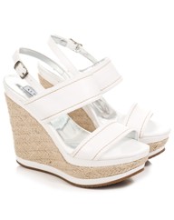 Daniel Languedoc Wedge