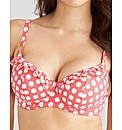 Bikini Top