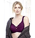 Elegance - All-Over Lace Soft Cup Bra