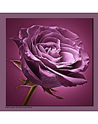 Plum On Plum Rose Wall Art