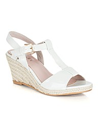 Daniel Oleary Wedge